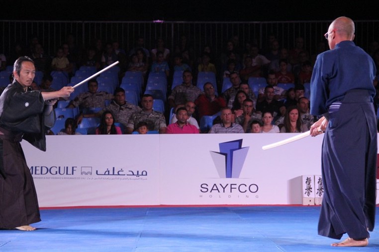 Martial Arts Festival